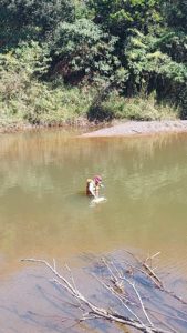 Coleta de água no rio Piracicaba - Mariana/MG